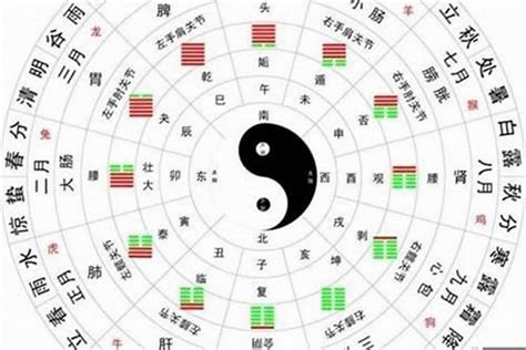 八字五行屬性查詢|八字算命免費測八字，生辰八字五行查詢，測生辰八字五行缺補